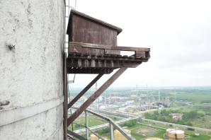 Rodzina sokołów wędrownych zawitała do Koszalina