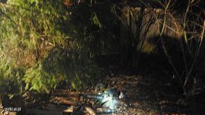 53-latek z pokaźnym arsenałem! 