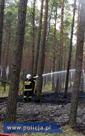 Ostrołęka: Seryjny podpalacz lasów w rękach policji!