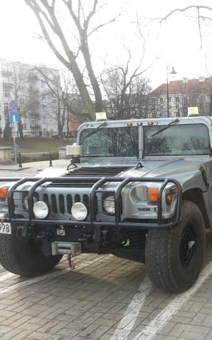 Ludzie Rutkowskiego bronią Amerykanki, której władze Norwegii zabrały na zawsze synka. Dziś w Warszawie protestują przed Ambasadą Norwegii i USA!