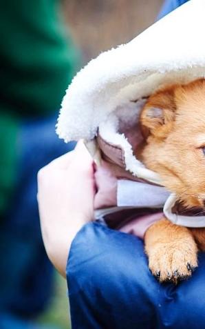 Pamiętajmy o potrzebach i emocjach zwierząt