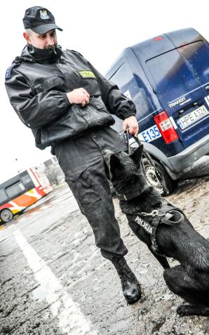 Django i Lila - policyjne psy szkoliły się w służbie