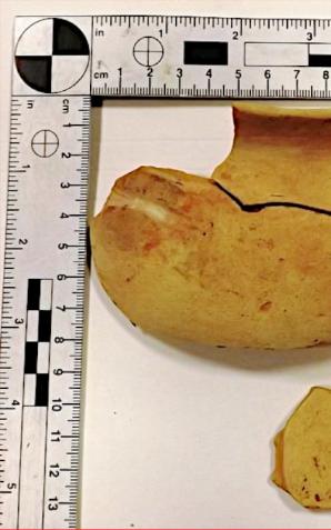 Udaremniono przemyt zabytków archeologicznych na granicy w Hrebennem