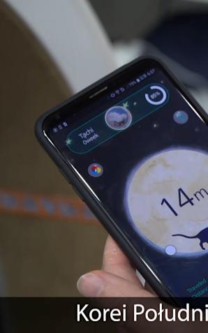 [VIDEO] Koreańska firma chce rozwiązać problem nadwagi u domowych kotów. Ponad połowa z nich ma zbyt dużą masę ciała