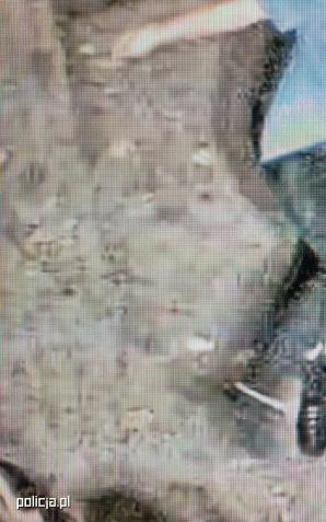 Brutalne pobicie na wrocławskiej starówce