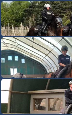 [VIDEO] Zakończyła się właśnie atestacja koni służbowych Ogniwa Konnego Wydziału Prewencji KMP w Częstochowie