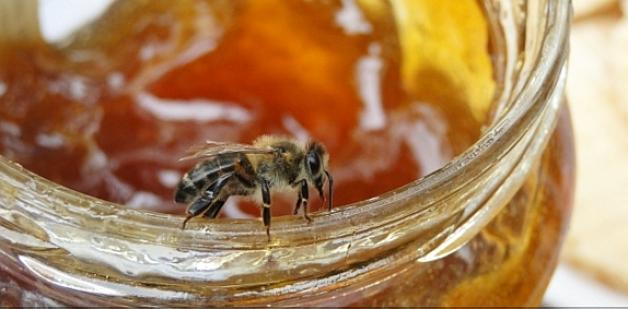 Jak smakować Polskę u gospodarza? Nowe lepsze przepisy!