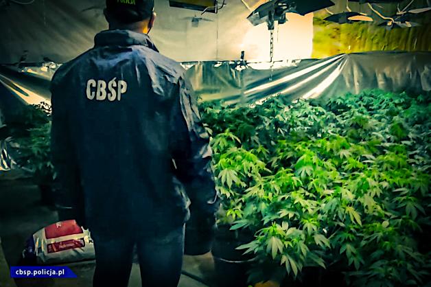 [VIDEO] Wietnamscy „plantatorzy