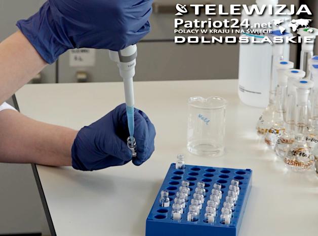 [VIDEO] Polacy opracowali nośnik, dzięki któremu więcej leków będzie można podawać przez skórę. Za kilka lat na rynku mogą się pojawić maści albo plastry na raka